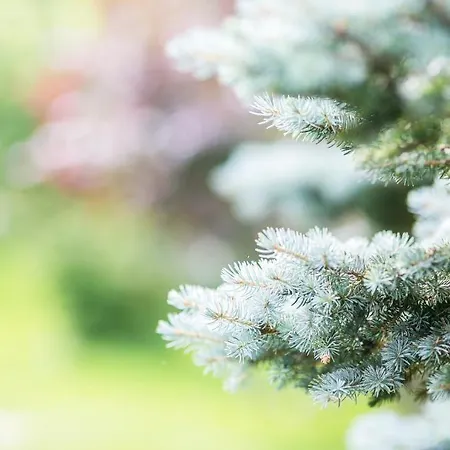 فندق Imbery & Restaurant