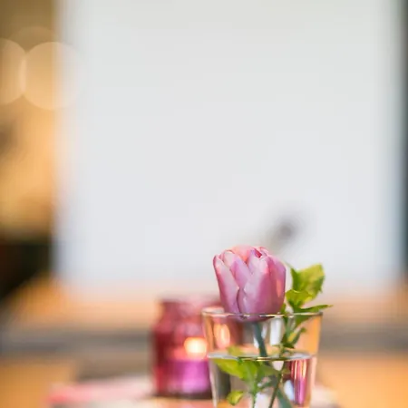 فندق Imbery & Restaurant 3*