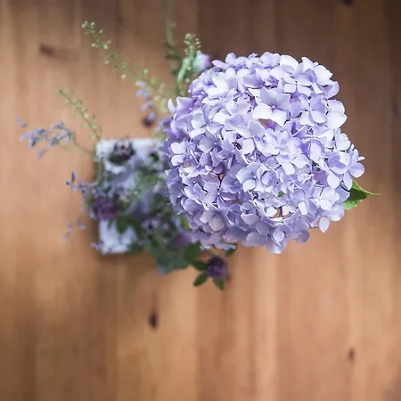 Imbery & Restaurant 3*