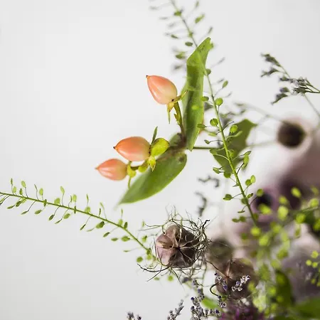 فندق Imbery & Restaurant 3*