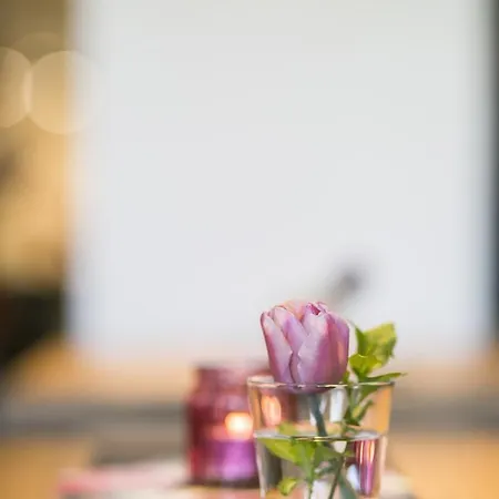 فندق Imbery & Restaurant 3*