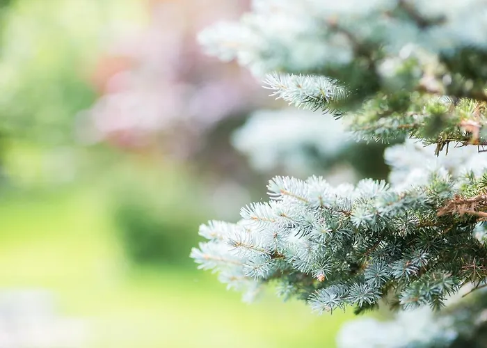 Imbery & Restaurant ヒンターツァルテン