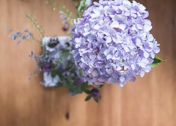 Imbery & Restaurant 3*